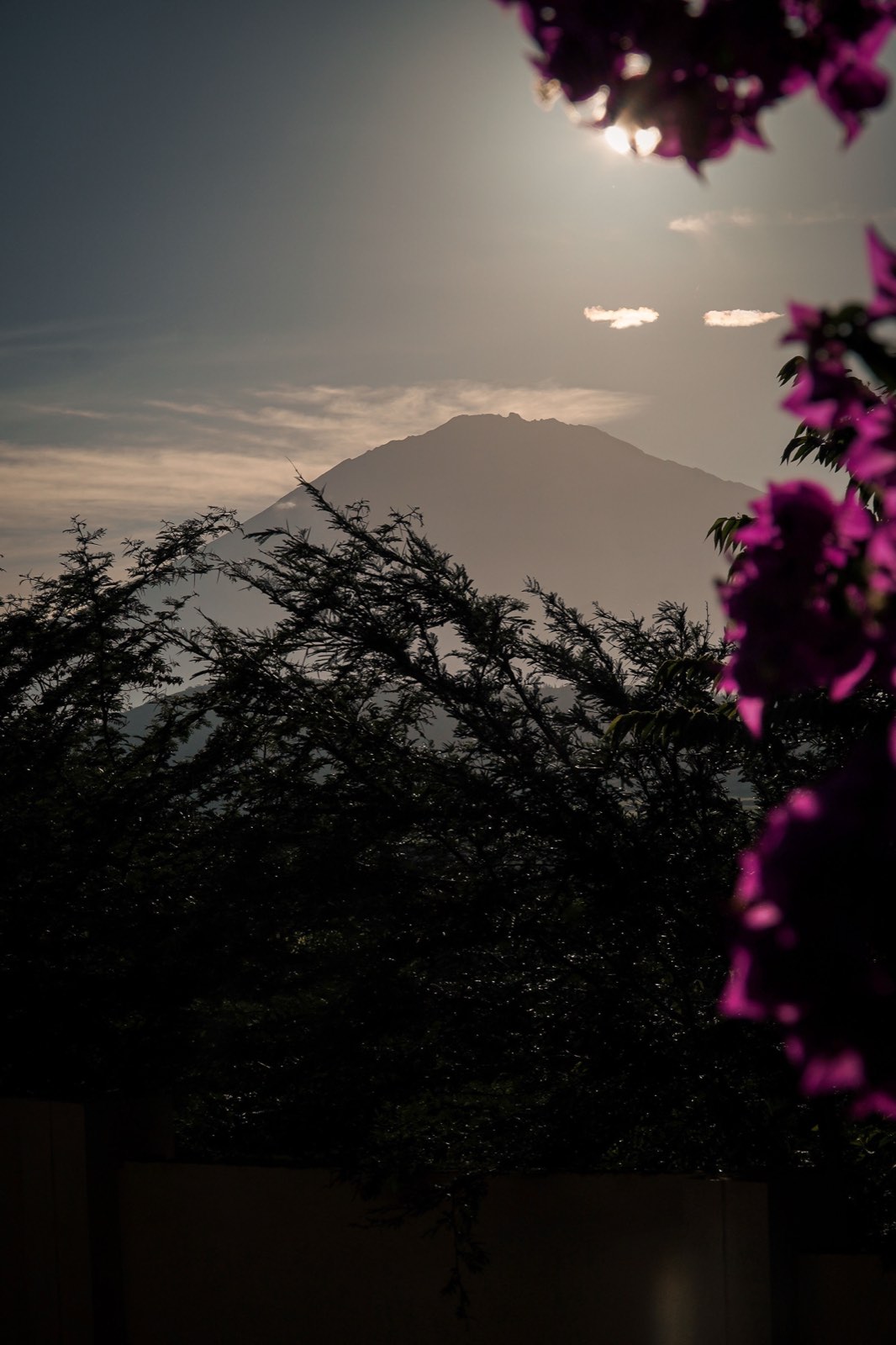 Mount Meru at dusk, seen through bougainvillea from the hilltop