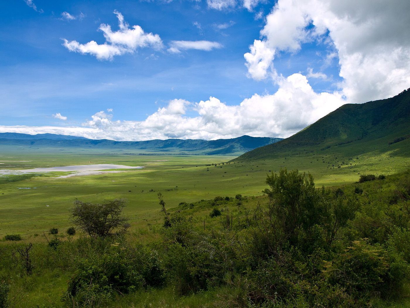 The floor of the Ngorongoro Crater seen from the rim